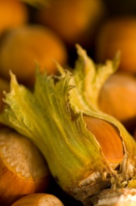 hazelnut