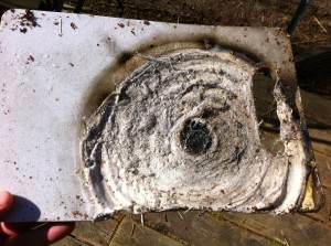 Kitchen Fire cutting board