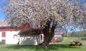 540483_10151652291012494_1169492350_n