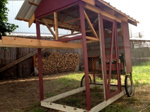 Photo by Mica Habarad