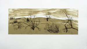 crows shadow institute