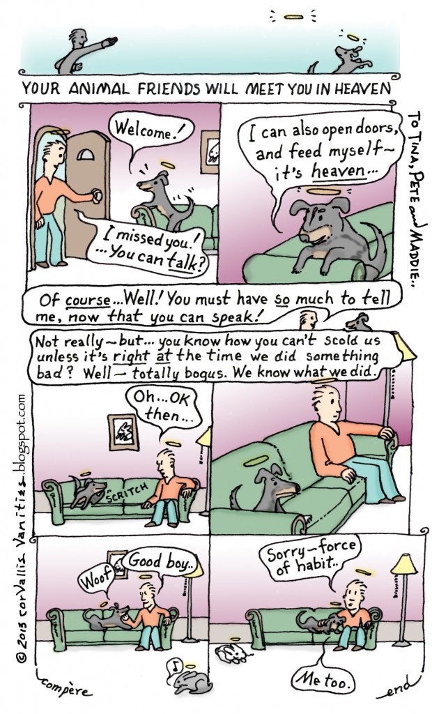 020_AnimalFriendsHeaven