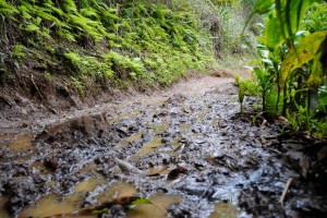 muddytrail