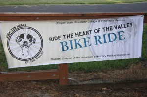 Ride the Heart of the Valley Banner