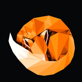 Fox(cover image)