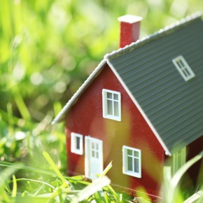 Tiny red house in green grass