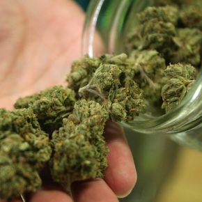 marijuana-dispensary