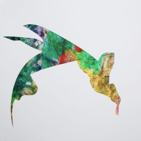 1_try not to crop if possible