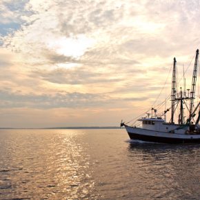 commercial-fishing-boat