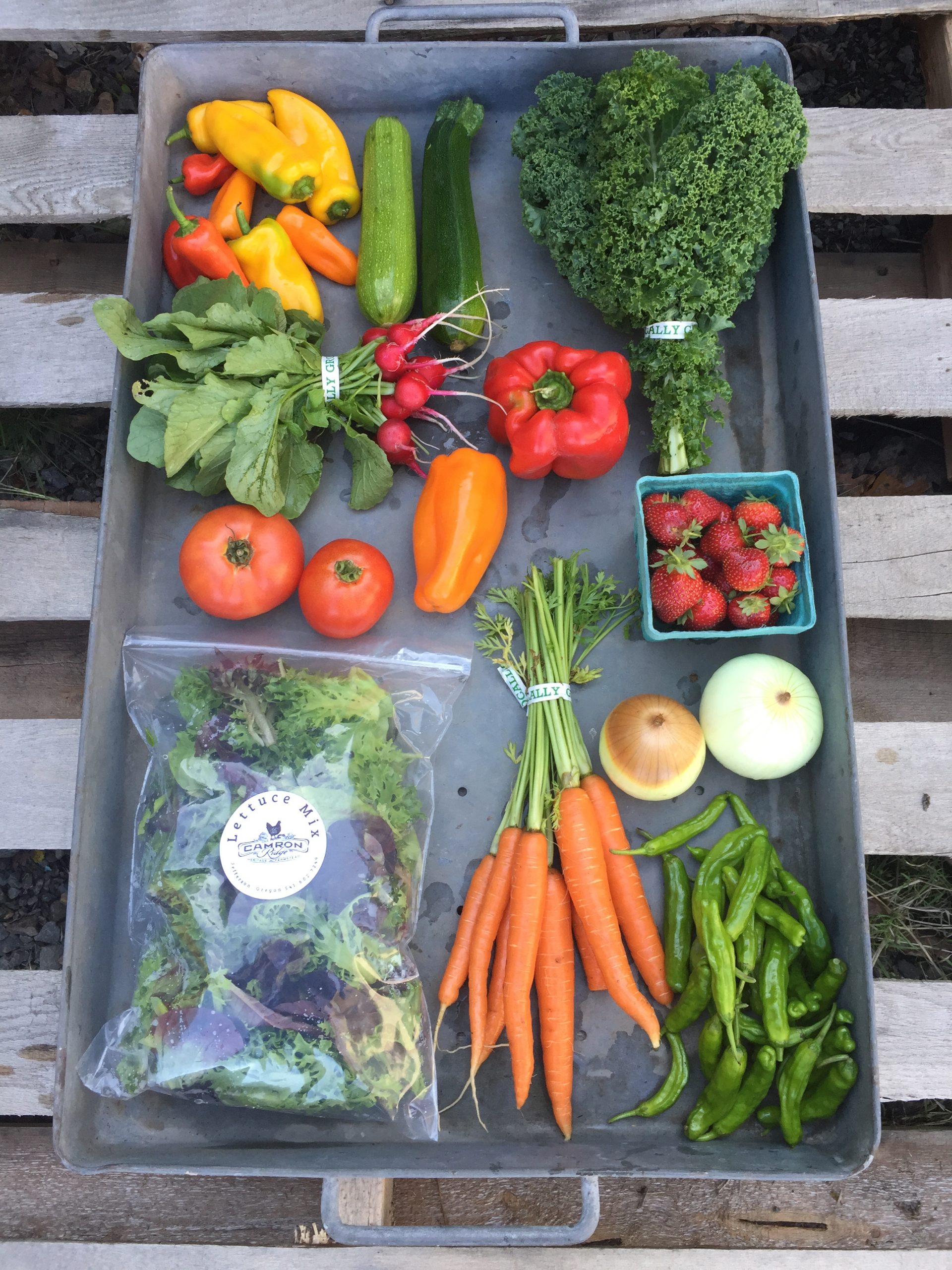 CSA-Camron-Ridge-Farmstead