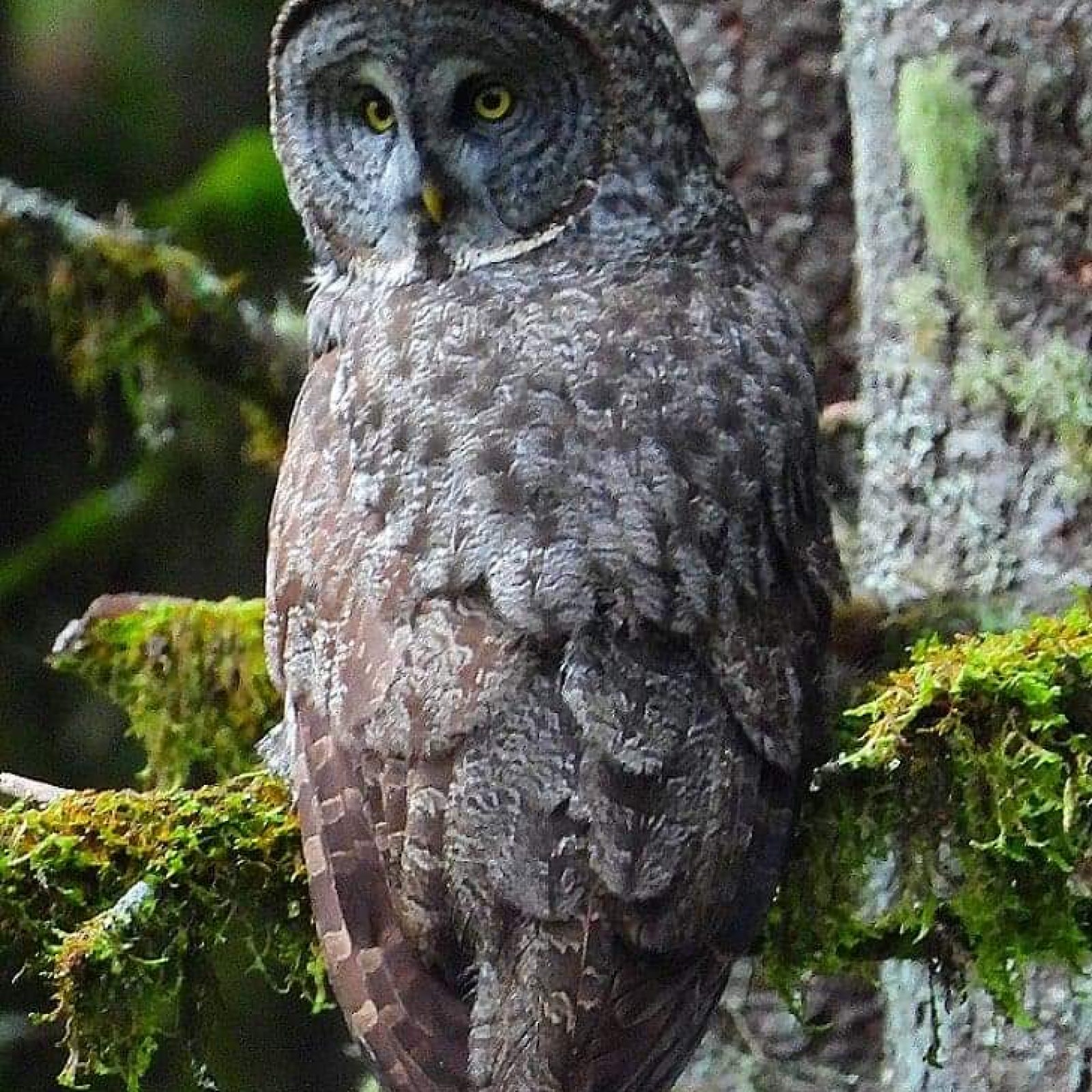 received_2664546173786085