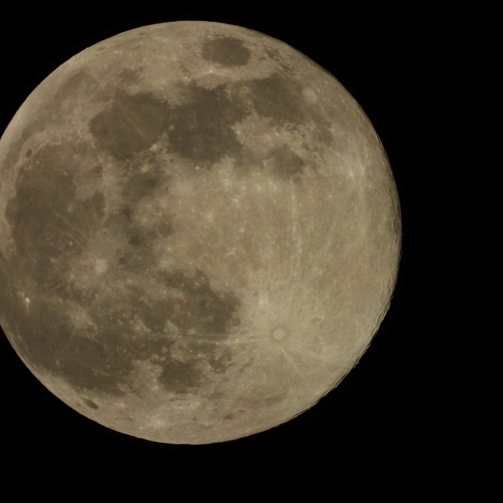 received_291180481867929