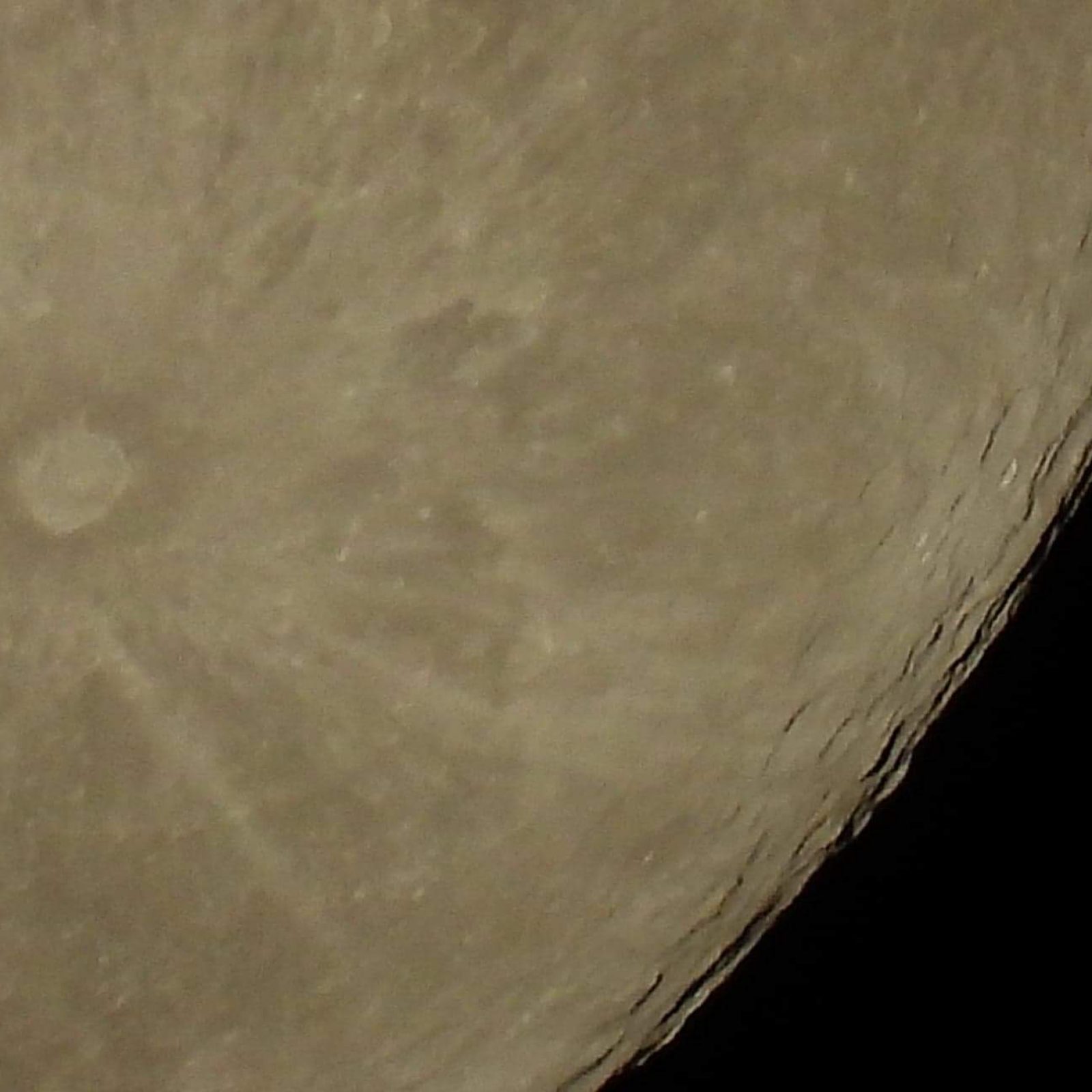 received_294500721539141