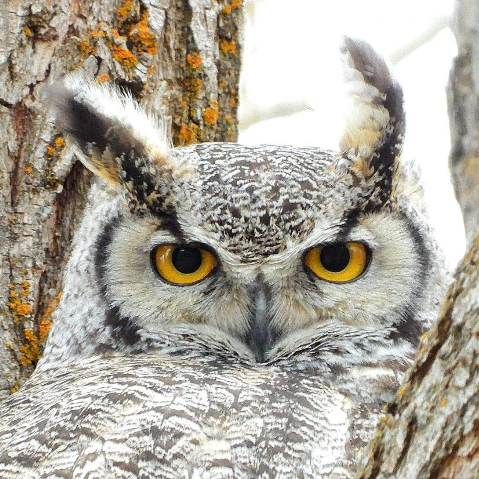 received_524175898267080