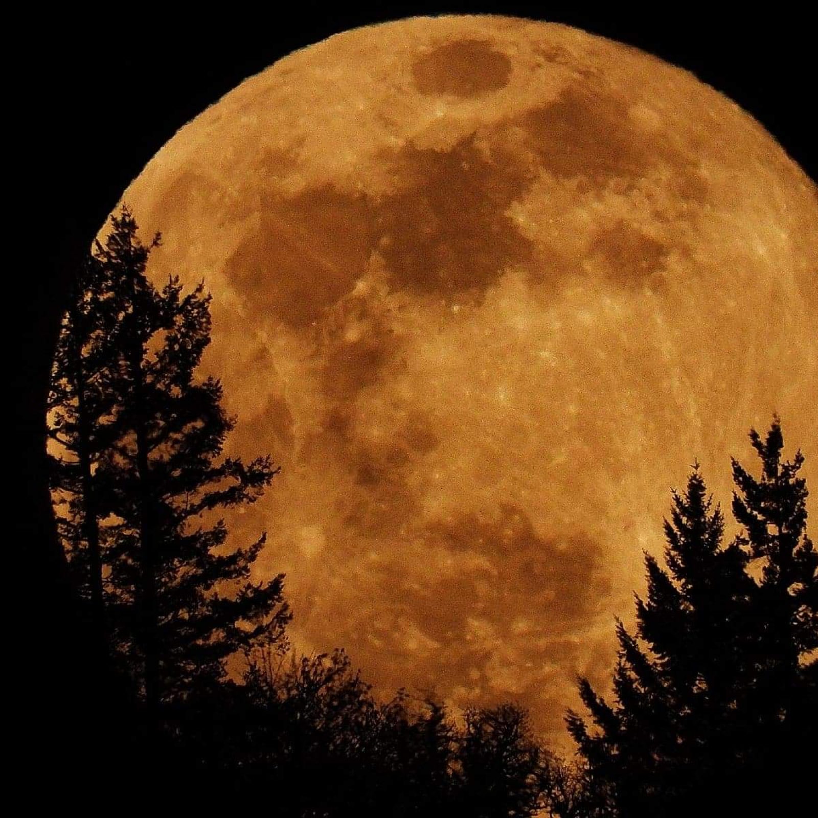 received_652960521942291